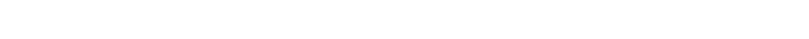 PHOENIX - UNTERNEHMEN / Leistungsschwerpunkte Abteilung Sicherheit: